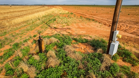 177.1 +/- Acre Irrigated Tract for Sale in Lamb County Texas - image 7