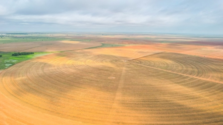 177.1 +/- Acre Irrigated Tract for Sale in Lamb County Texas - image 1