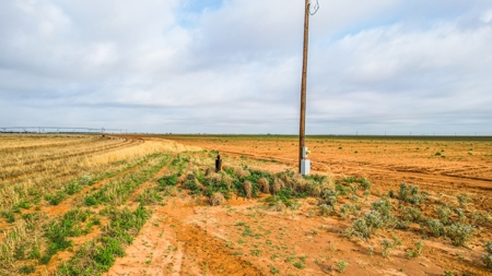 177.1 +/- Acre Irrigated Tract for Sale in Lamb County Texas - image 5