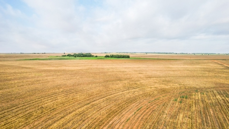 177.1 +/- Acre Irrigated Tract for Sale in Lamb County Texas - image 8