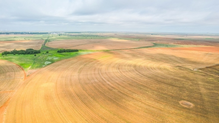 177.1 +/- Acre Irrigated Tract for Sale in Lamb County Texas - image 16