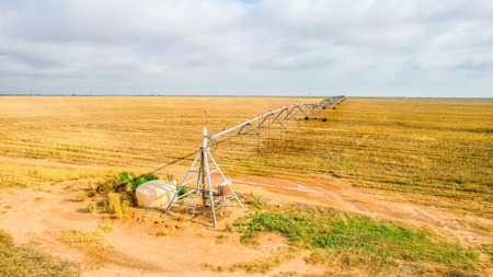 177.1 +/- Acre Irrigated Tract for Sale in Lamb County Texas - image 17