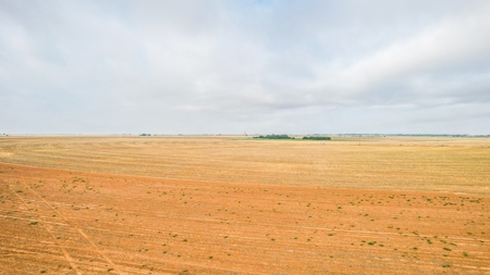 177.1 +/- Acre Irrigated Tract for Sale in Lamb County Texas - image 11