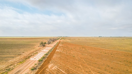 177.1 +/- Acre Irrigated Tract for Sale in Lamb County Texas - image 2
