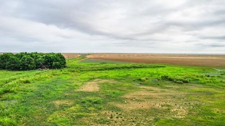 177.1 +/- Acre Irrigated Tract for Sale in Lamb County Texas - image 9