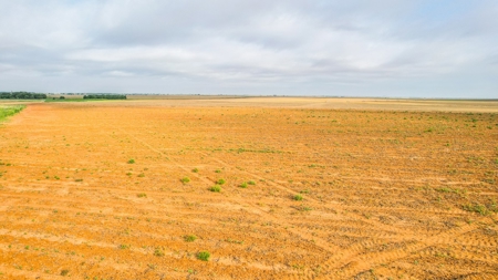 177.1 +/- Acre Irrigated Tract for Sale in Lamb County Texas - image 14