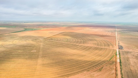 177.1 +/- Acre Irrigated Tract for Sale in Lamb County Texas - image 3