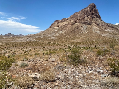 Oatman Az Oasis Auction! 95.18 Acres + Well + Mining Claims - image 7