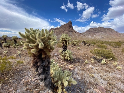 Oatman Az Oasis Auction! 95.18 Acres + Well + Mining Claims - image 35