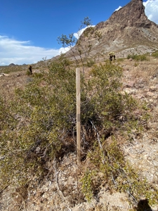 Oatman Az Oasis Auction! 95.18 Acres + Well + Mining Claims - image 22