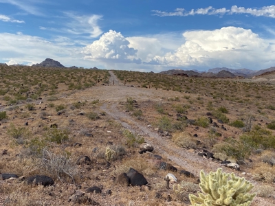 Oatman Az Oasis Auction! 95.18 Acres + Well + Mining Claims - image 38