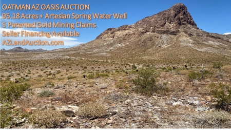 Oatman Az Oasis Auction! 95.18 Acres + Well + Mining Claims - image 40