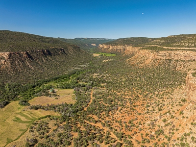 Looking for an off-grid cabin on a creek with 60 acres? - image 12