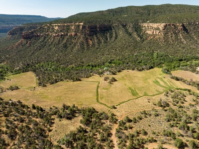 Looking for an off-grid cabin on a creek with 60 acres? - image 11