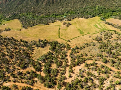 Looking for an off-grid cabin on a creek with 60 acres? - image 10