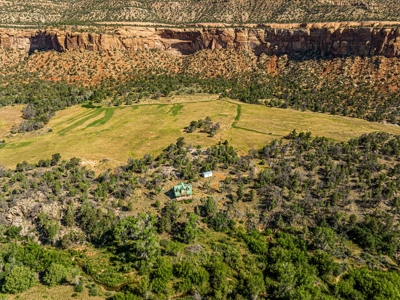 Looking for an off-grid cabin on a creek with 60 acres? - image 14