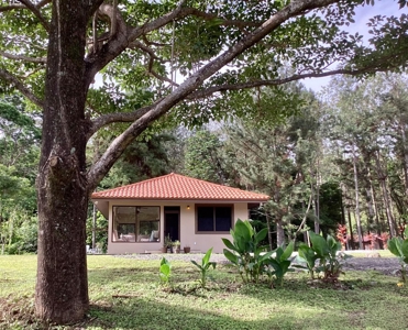 Fully furnished house with a lot | Altos del Maria *Updated* - image 7
