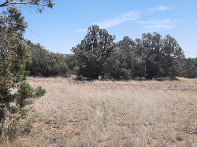 Gorgeous Northern Arizona off-grid rural property!!. - image 3