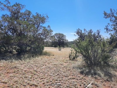 Gorgeous Northern Arizona off-grid rural property!!. - image 2