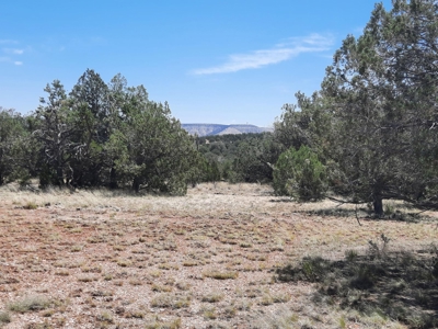 Gorgeous Northern Arizona off-grid rural property!!. - image 6