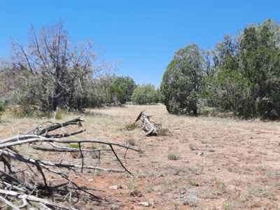 Gorgeous Northern Arizona off-grid rural property!!. - image 9