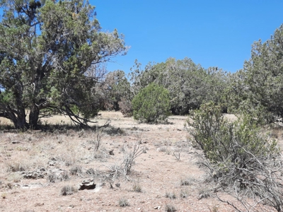 Gorgeous Northern Arizona off-grid rural property!!. - image 8