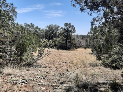Gorgeous Northern Arizona off-grid rural property!!. - image 5