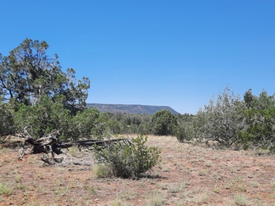 Gorgeous Northern Arizona off-grid rural property!!. - image 4