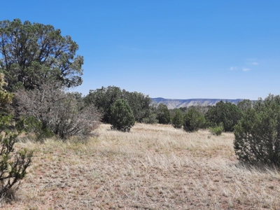 Gorgeous Northern Arizona off-grid rural property!!. - image 11