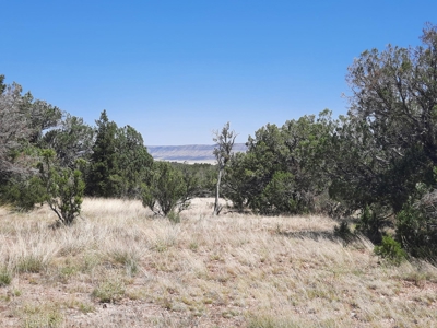 Gorgeous Northern Arizona off-grid rural property!!. - image 7