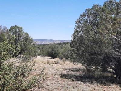 Gorgeous Northern Arizona off-grid rural property!!. - image 1