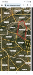 Remote Norther AZ 40 acres parcel with gorgeous views! - image 12