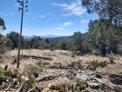 Remote Norther AZ 40 acres parcel with gorgeous views! - image 7