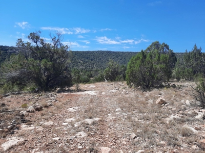 Remote Norther AZ 40 acres parcel with gorgeous views! - image 10