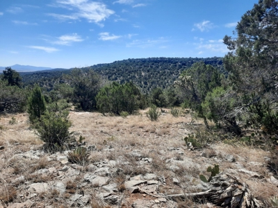 Remote Norther AZ 40 acres parcel with gorgeous views! - image 1