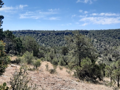 Remote Norther AZ 40 acres parcel with gorgeous views! - image 2