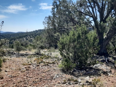Remote Norther AZ 40 acres parcel with gorgeous views! - image 3