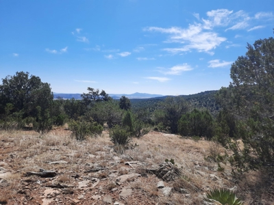 Remote Norther AZ 40 acres parcel with gorgeous views! - image 8