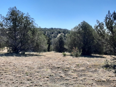 Gorgeous 36 acre Norther AZ off grid property with septic !! - image 12