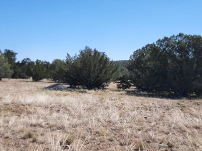 Gorgeous 36 acre Norther AZ off grid property with septic !! - image 15