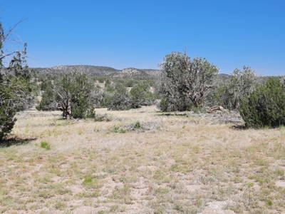 Gorgeous 36 acre Norther AZ off grid property with septic !! - image 2