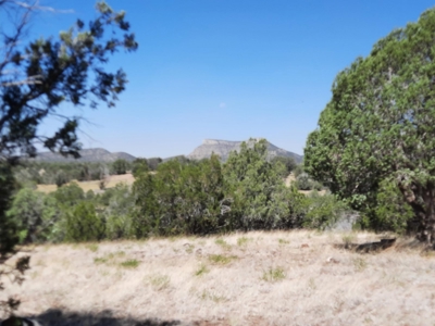 Gorgeous 36 acre Norther AZ off grid property with septic !! - image 16