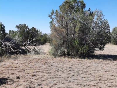 Gorgeous 36 acre Norther AZ off grid property with septic !! - image 7