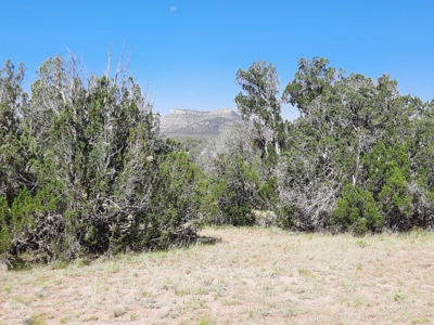 Gorgeous 36 acre Norther AZ off grid property with septic !! - image 4