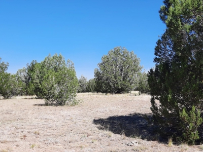 Gorgeous 36 acre Norther AZ off grid property with septic !! - image 9