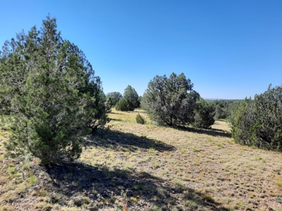 Gorgeous 36 acre Norther AZ off grid property with septic !! - image 3