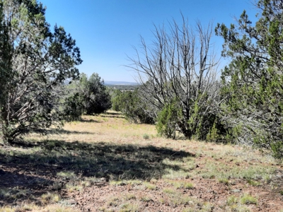 Gorgeous 36 acre Norther AZ off grid property with septic !! - image 5