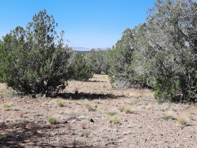 Gorgeous 36 acre Norther AZ off grid property with septic !! - image 6