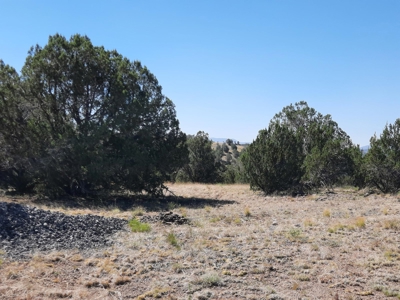 Gorgeous 36 acre Norther AZ off grid property with septic !! - image 11