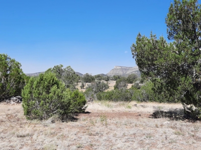 Gorgeous 36 acre Norther AZ off grid property with septic !! - image 19
